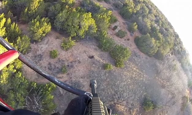 This Slo-Mo Video of Helicopter Coyote and Hog Hunting Is Awesome