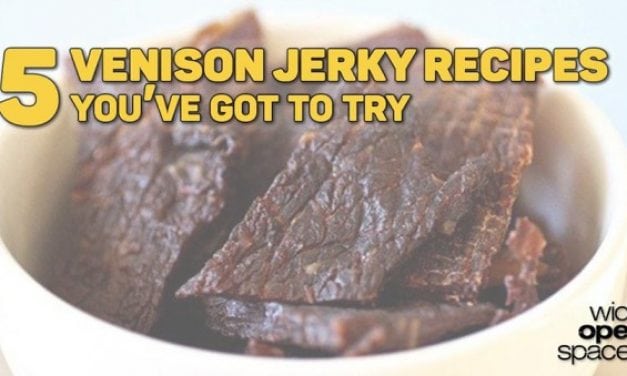 This Year’s 5 Best Deer Jerky Recipes