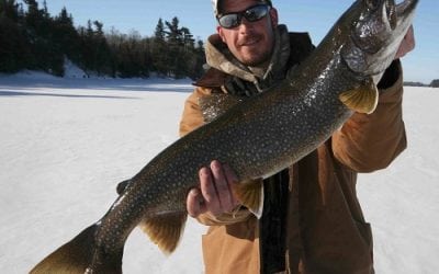 Thumper belly blade flickers, flashes & flutters