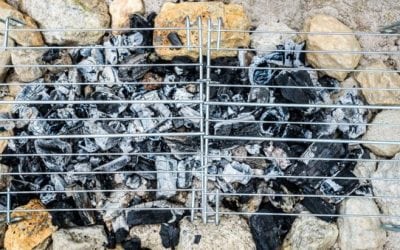 Using Animal Grease to Start a Fire