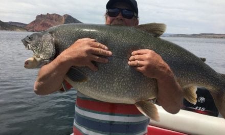 Utah Record Trout Landed At 57 Pounds, Four Pounds Past The Record