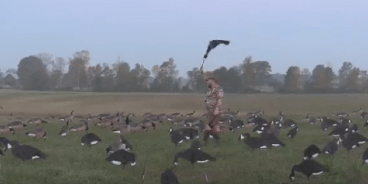 Video: Early Goose Hunting at Basswood Lodge Looks Fantastic