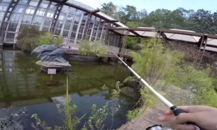 Video: Fishing an Abandoned Building’s Old Koi Pond for Largemouths