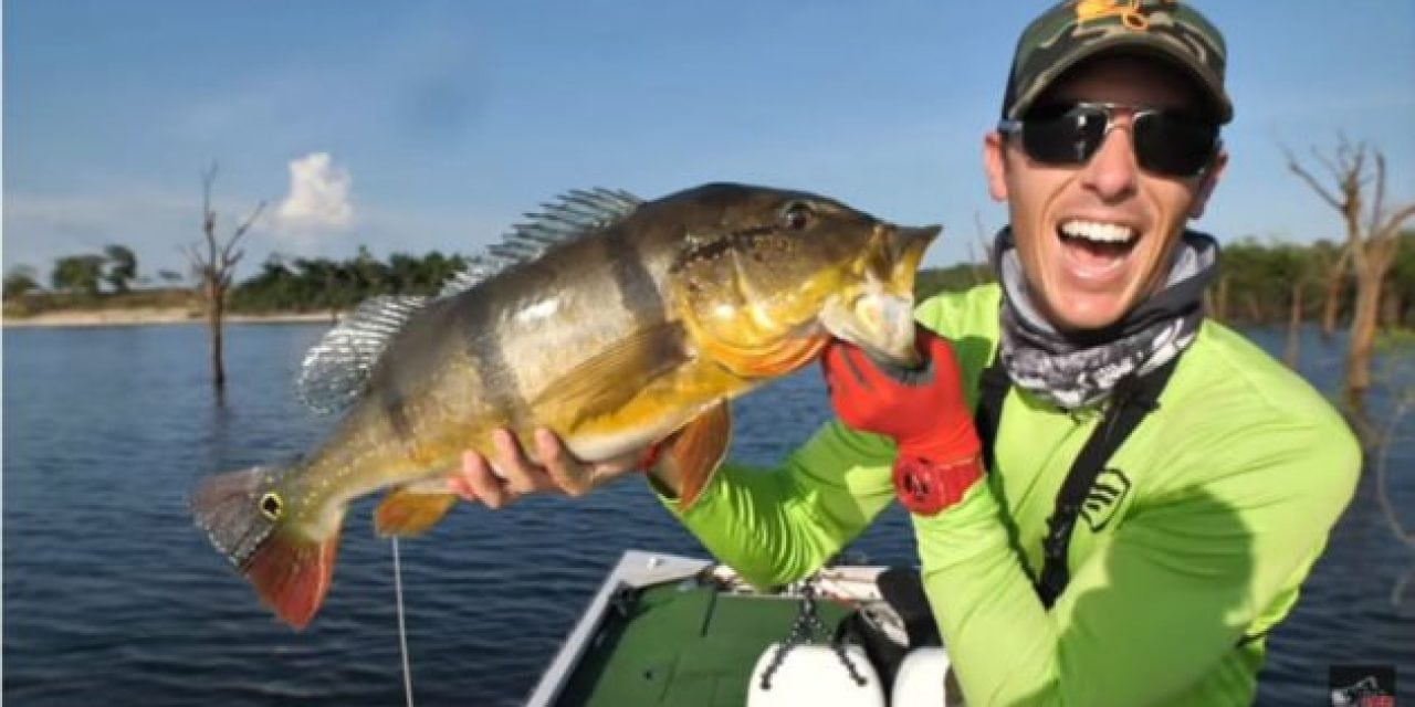 Video: Lake Fork Guy Fishes Topwaters for Giant Peacock Bass in the Amazon
