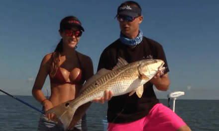 Video: Luiza Hooks Massive Bull Redfish in Venice, Louisiana