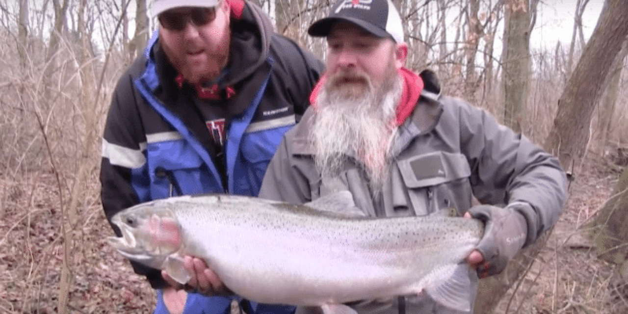 Video: The Steelhead Fishing in Indiana is Legendary in the Fall