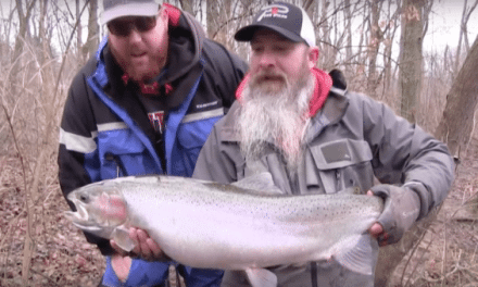Video: The Steelhead Fishing in Indiana is Legendary in the Fall