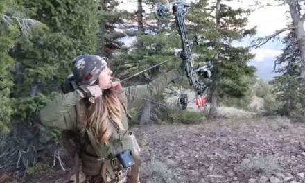 Video: Watch Outdoors Allie Bag a Grouse with Her Bow