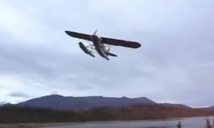 Want to Go Antler Shed Hunting? Use an Airplane!