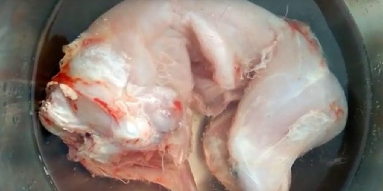 Watch as This Skinned Rabbit Still Twitches