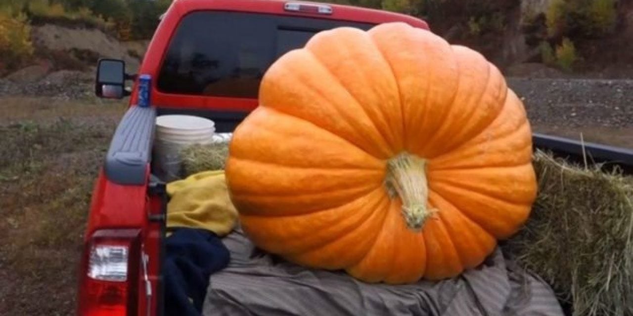 What Happens When You Pack a 425-Pound Pumpkin Full of Tannerite?