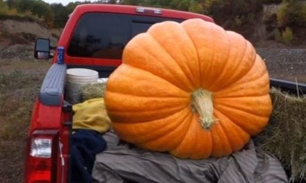 What Happens When You Pack a 425-Pound Pumpkin Full of Tannerite?