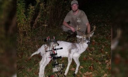 #WhitetailWednesday: New York Man Shoots Unique Piebald Buck
