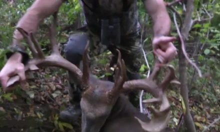 Wisconsin Hunter Self-Films and Shoots 214-Inch Free-Range Buck