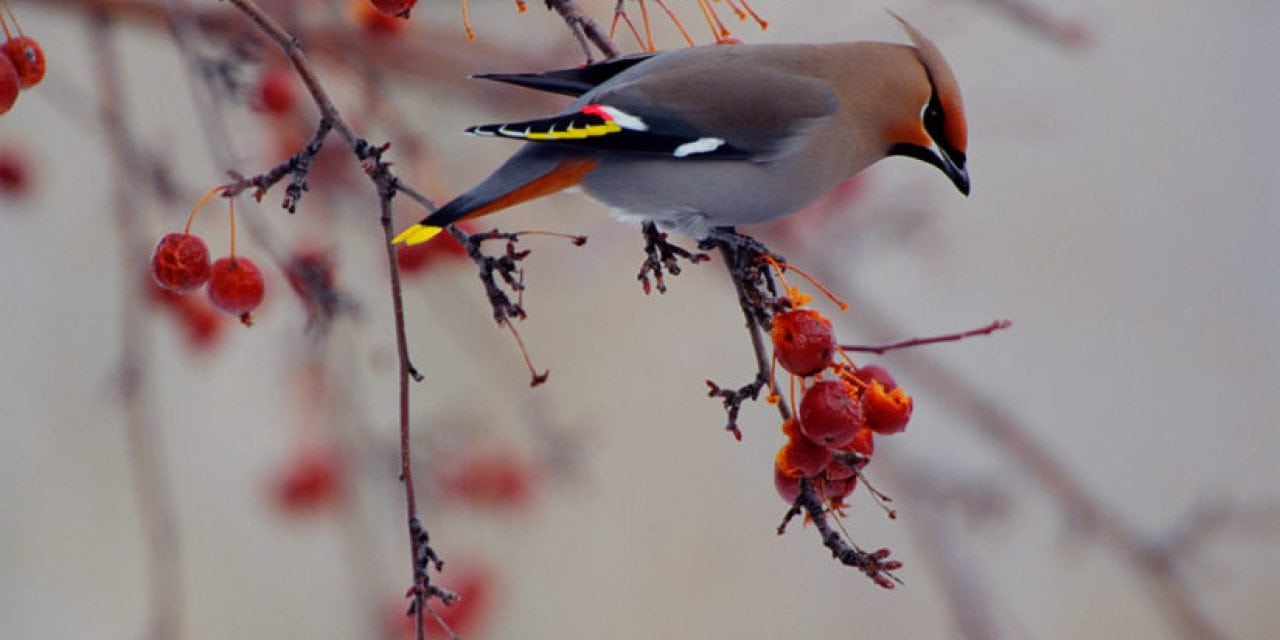 10 Guides To Stunning Winter Photos