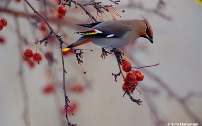 10 Guides To Stunning Winter Photos