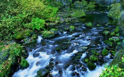 10 Ways To Take Better Landscape Photos