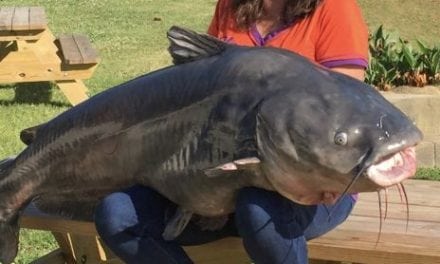 113.8-pound catfish caught on Lake Moultrie