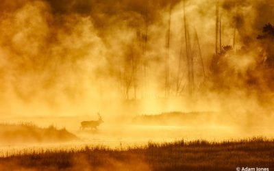 5 Stunning National Parks For Photographers