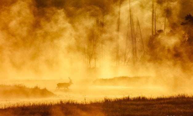5 Stunning National Parks For Photographers