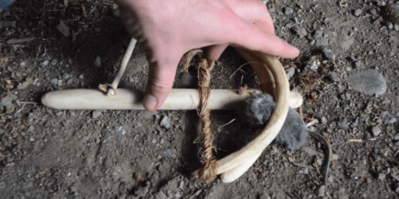 8,000-Year-Old Egyptian Mousetrap Still an Effective Killing Machine