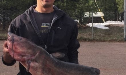 Another Catfish Record Catch, Now From Flagstaff AZ