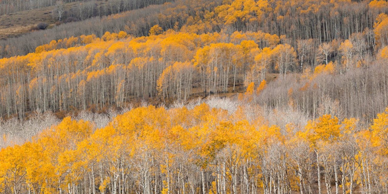 Autumn On Utah’s Colorado Plateau
