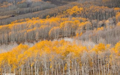 Autumn On Utah’s Colorado Plateau