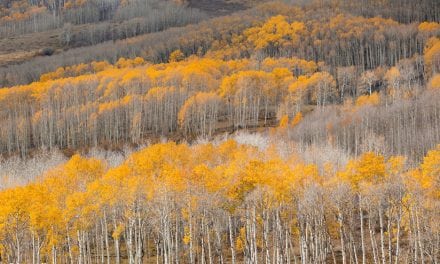 Autumn On Utah’s Colorado Plateau