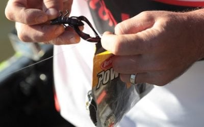 Berkley Fishing – Catch The Big Chill For Bass