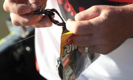 Berkley Fishing – Catch The Big Chill For Bass