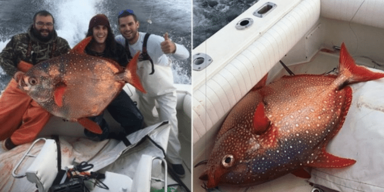 Best Buddies Catch Extremely Rare Fish in Maryland