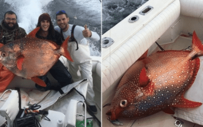 Best Buddies Catch Extremely Rare Fish in Maryland