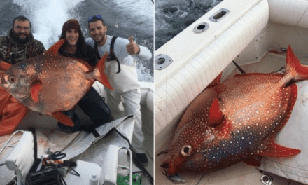 Best Buddies Catch Extremely Rare Fish in Maryland