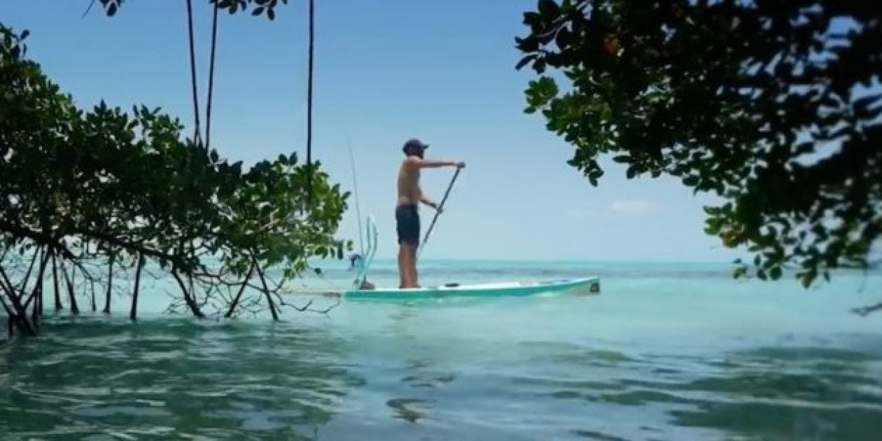 BOTE Shows Us What Fly Fishing in Belize Is All About