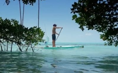 BOTE Shows Us What Fly Fishing in Belize Is All About