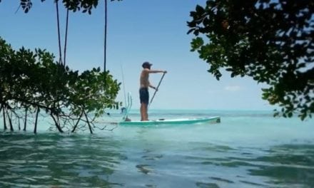 BOTE Shows Us What Fly Fishing in Belize Is All About