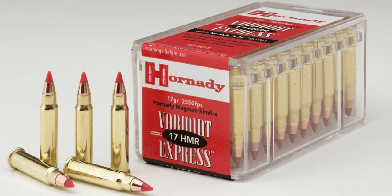 Breaking Down the .17 HMR Rifle Cartridge