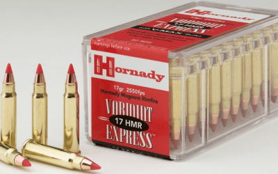 Breaking Down the .17 HMR Rifle Cartridge