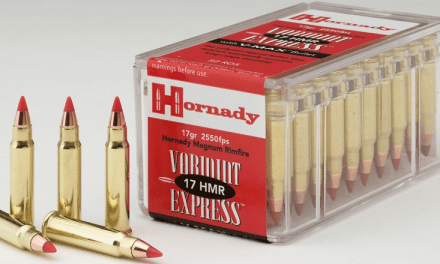 Breaking Down the .17 HMR Rifle Cartridge