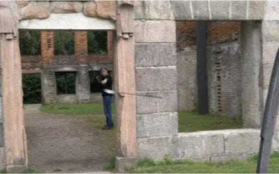 Buck Behind a Tree? Just Shoot Turning Arrows Like This Guy