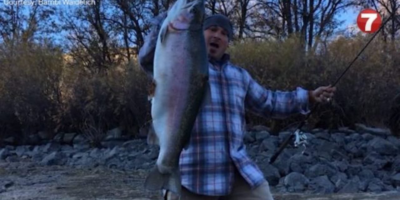 Check Out This Giant Boise River Trout Caught on 4-Pound Test