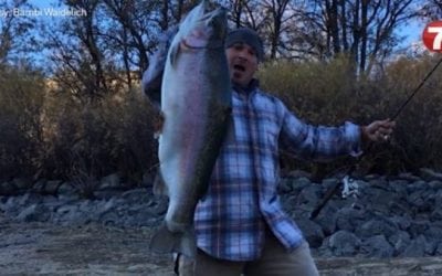 Check Out This Giant Boise River Trout Caught on 4-Pound Test