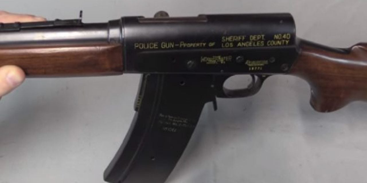 Check Out This Remington Model 81 Special Police Rifle