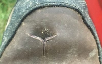 Crossbow Hunter Accidentally Takes One in the Foot