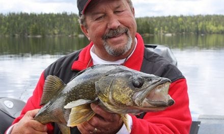 Early Season Walleyes Lures From Legendary Guide Tom Neustrom