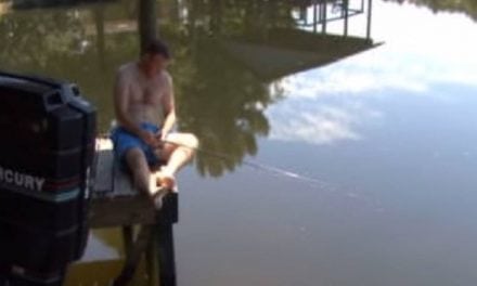 Fish Pulls Sleeping Fisherman Into the Water