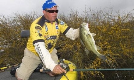 Flipping Shallow Cover Works Well For Big Spring Bass