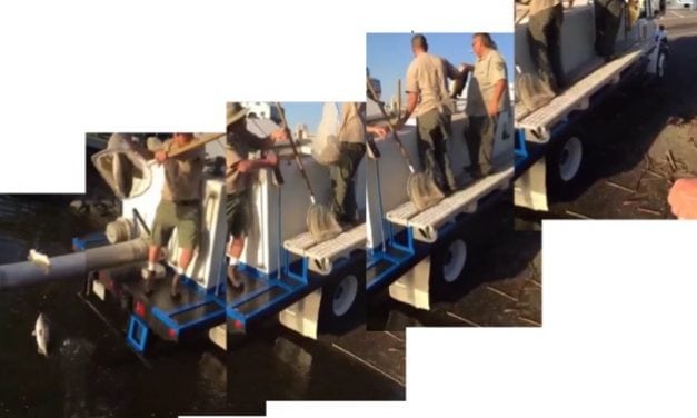 From The Mar/Apr Spring Edition – Are We Really Taking Good Care Of Our Catches On Release?