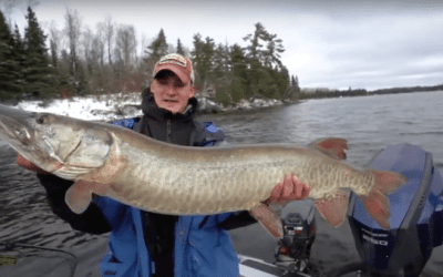 Giant Baits Will Get You Giant Bites